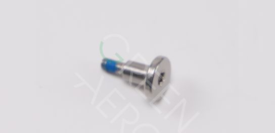 Screw M30-TC01250060-100020-5103-Y