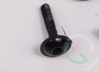 Screw M30-HPW01600100-095023-0003-Y