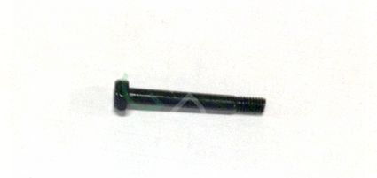 Screw M40-HH03300070-070030-3123-N