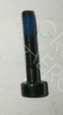 Screw (M30-HC01600120-057030-0323-Y)